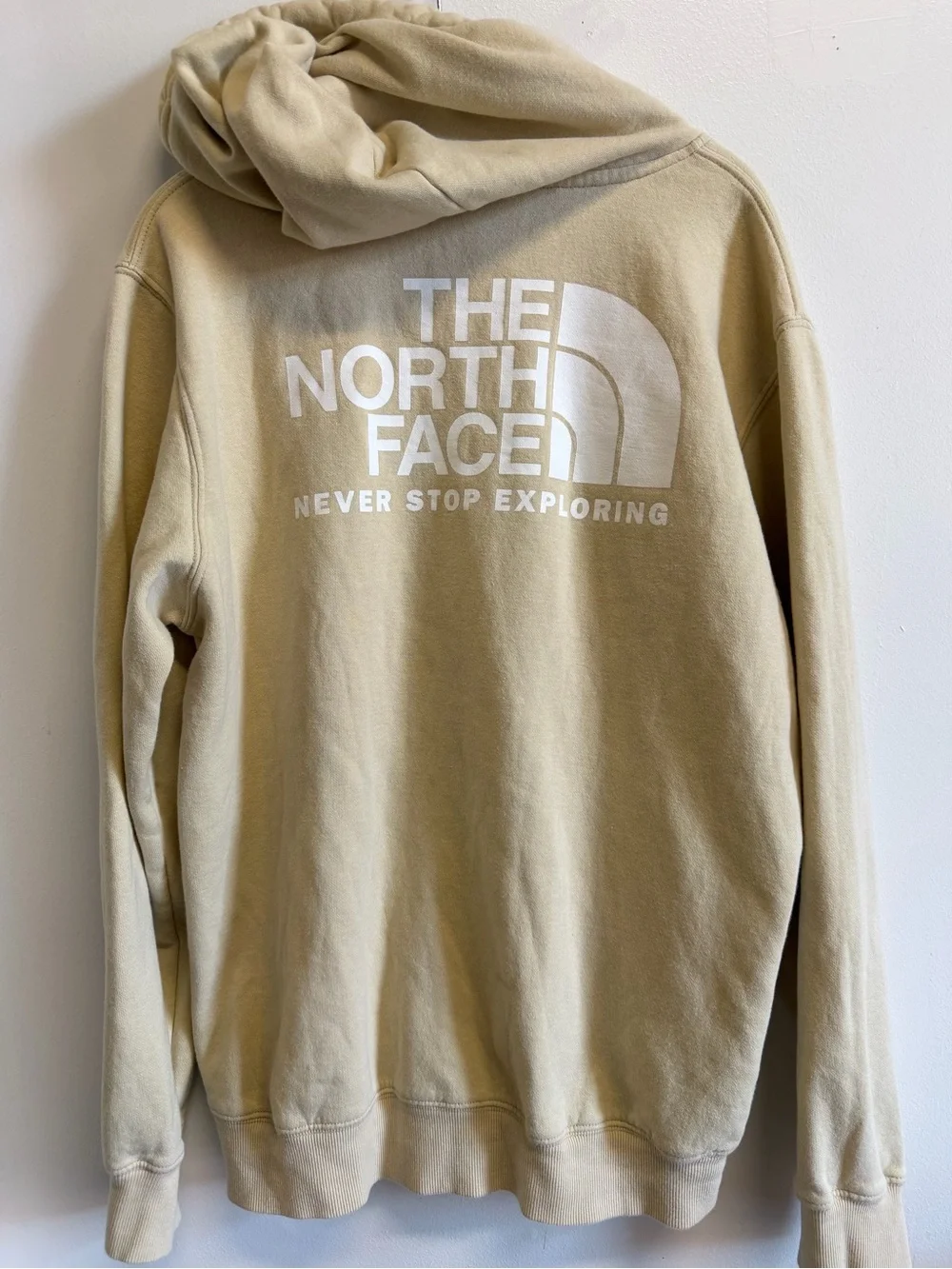 The North Face Hoodie Mens Large Beige Half Dome Back Logo Pullover Gorpcore